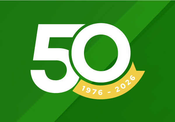 articoli per marmisti 50